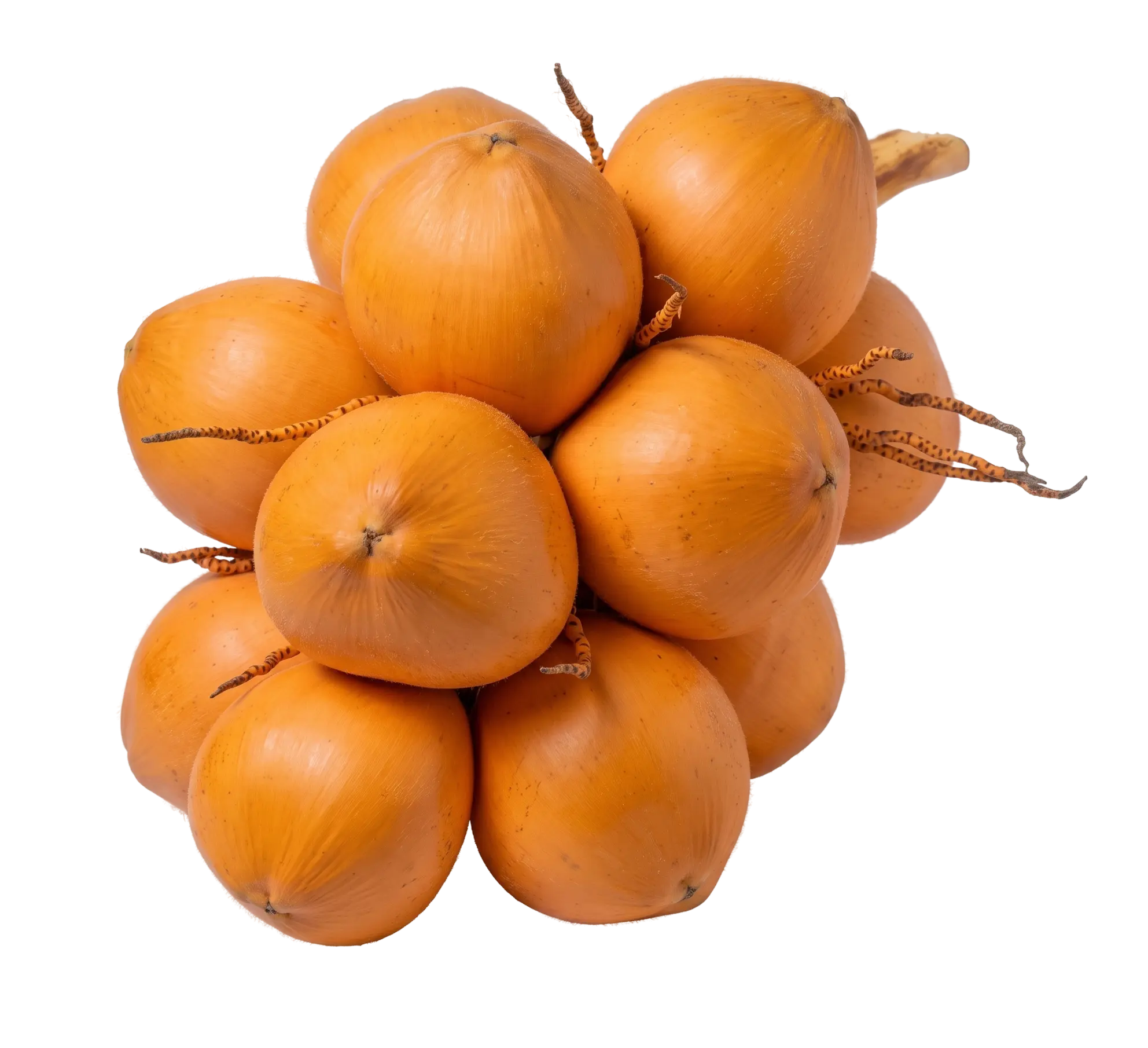 King Coconut Cluster